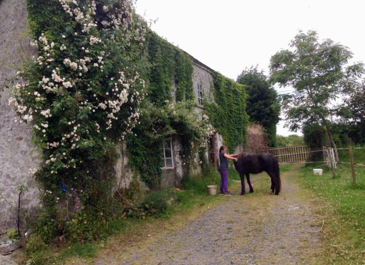 Ballyrider House Beautiful Triple Suite Inch Cross Exterior foto